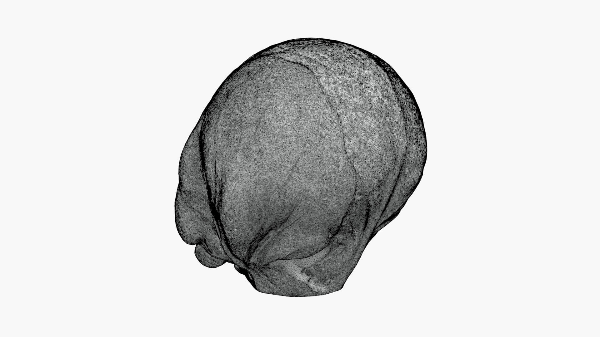 Brussels Sprout 03 - For 3D Print 3D Model