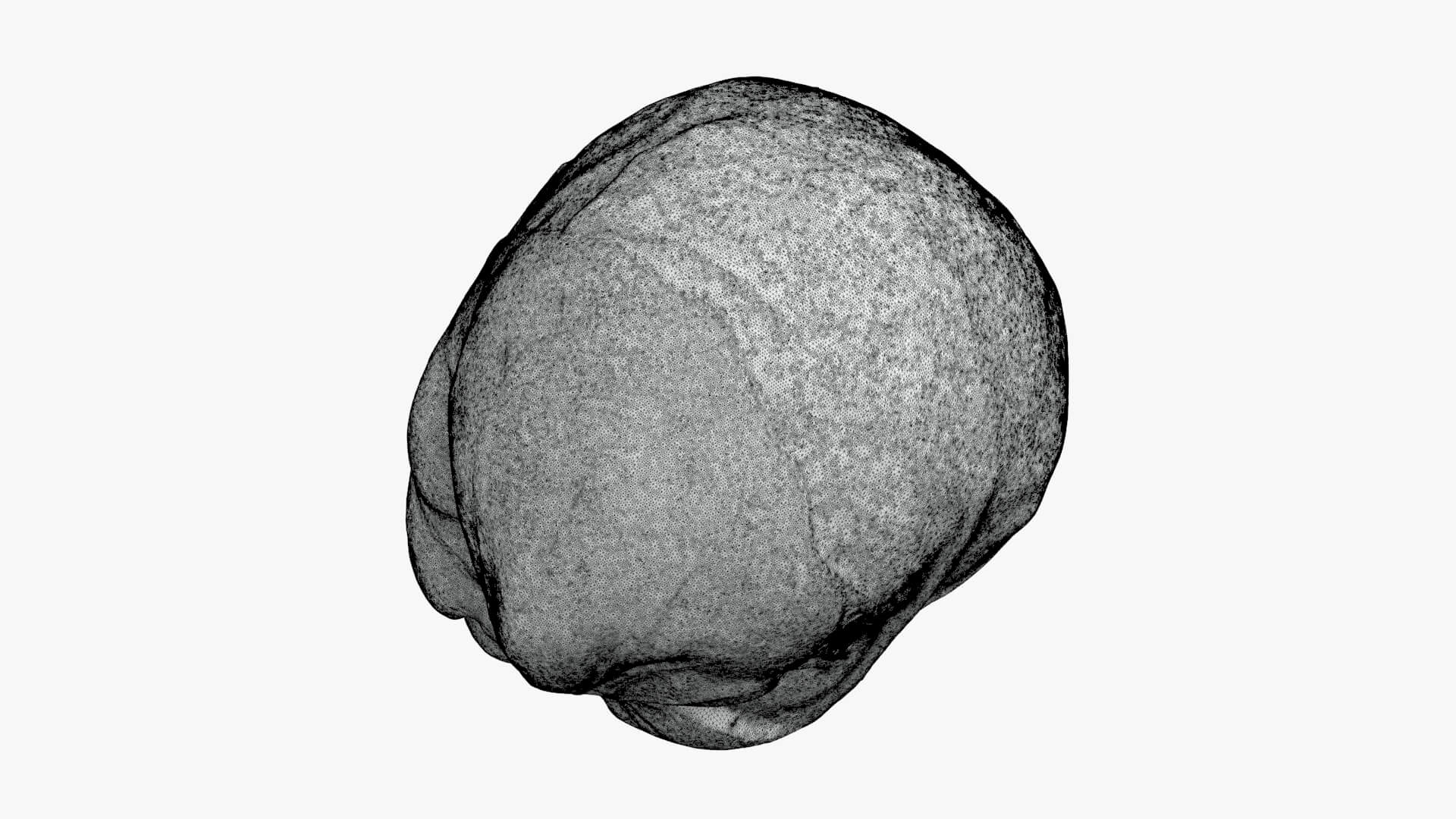 Brussels Sprout 03 - For 3D Print 3D Model