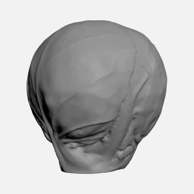 Brussels Sprout 03 - For 3D Print