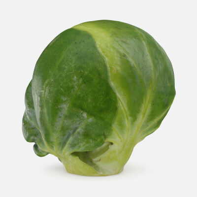 Brussels Sprout 03