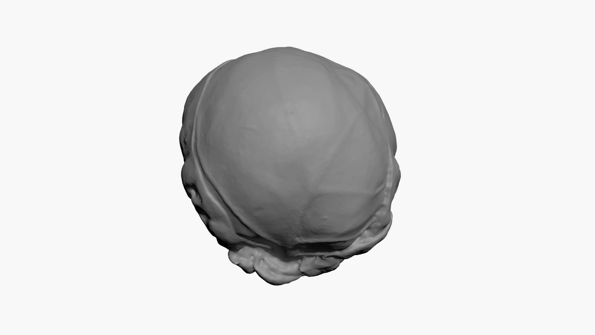 Brussels Sprout 04 - For 3D Print 3D Model