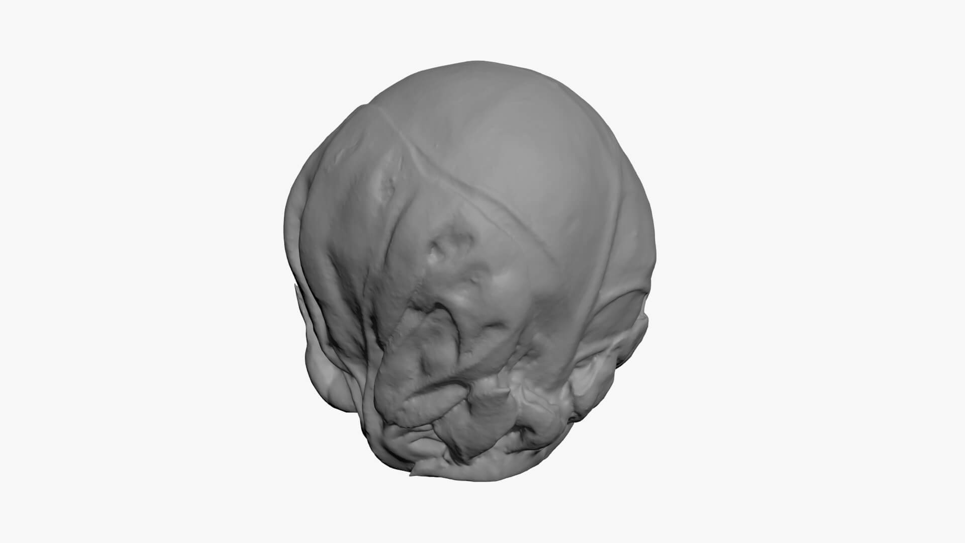 Brussels Sprout 04 - For 3D Print 3D Model