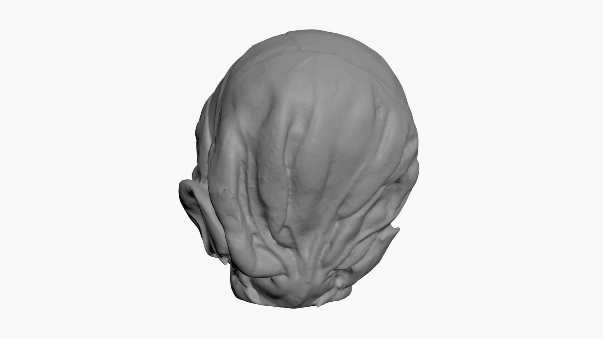 Brussels Sprout 04 - For 3D Print 3D Model