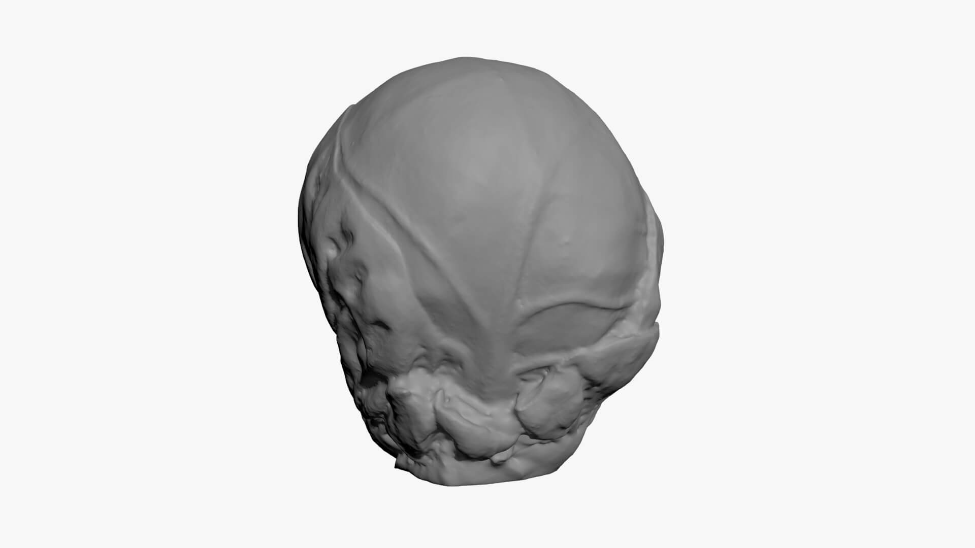Brussels Sprout 04 - For 3D Print 3D Model