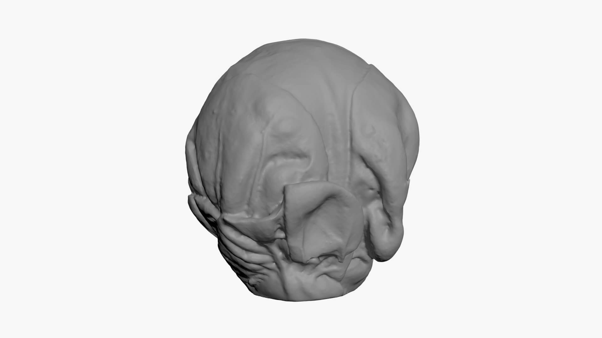 Brussels Sprout 04 - For 3D Print 3D Model