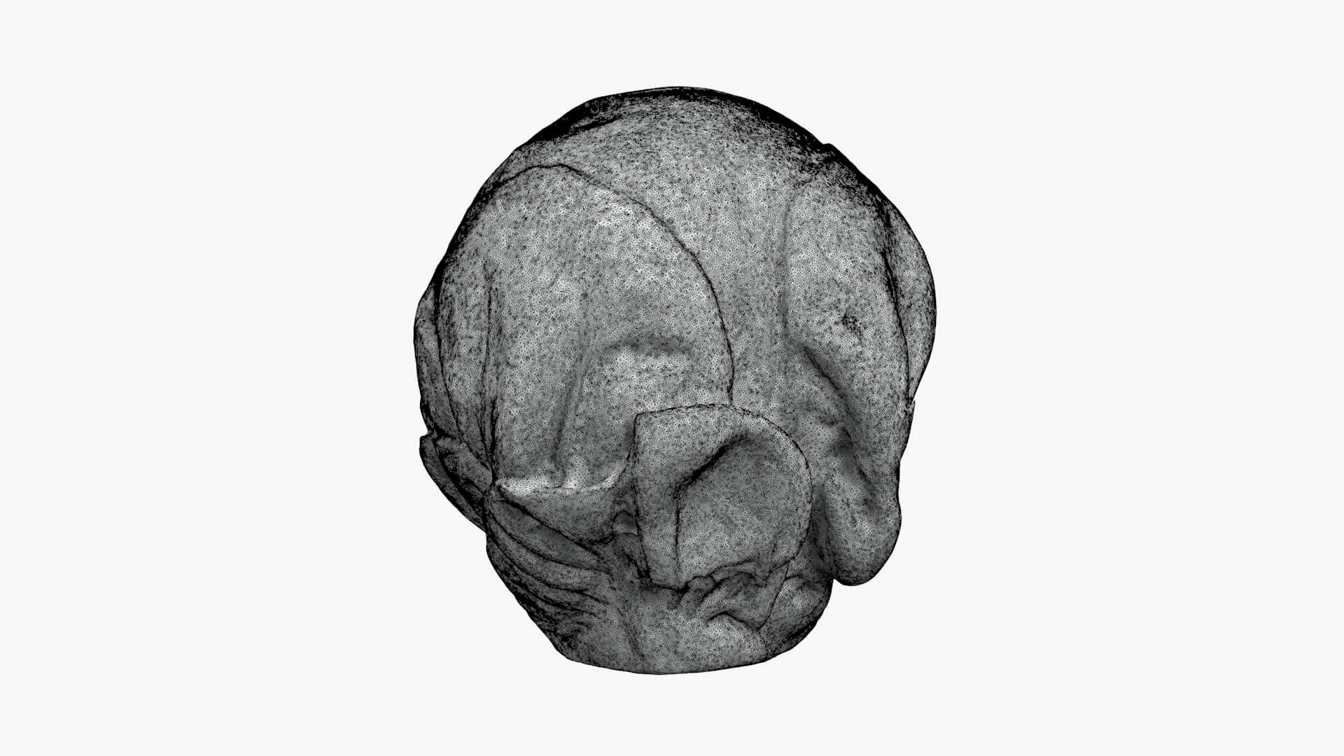 Brussels Sprout 04 - For 3D Print 3D Model
