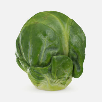 Brussels Sprout 04