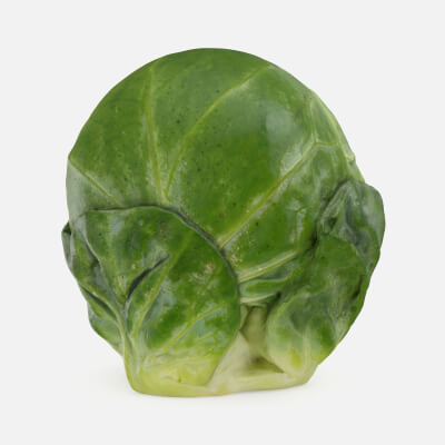 Brussels Sprout 05