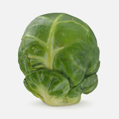Brussels Sprout 06
