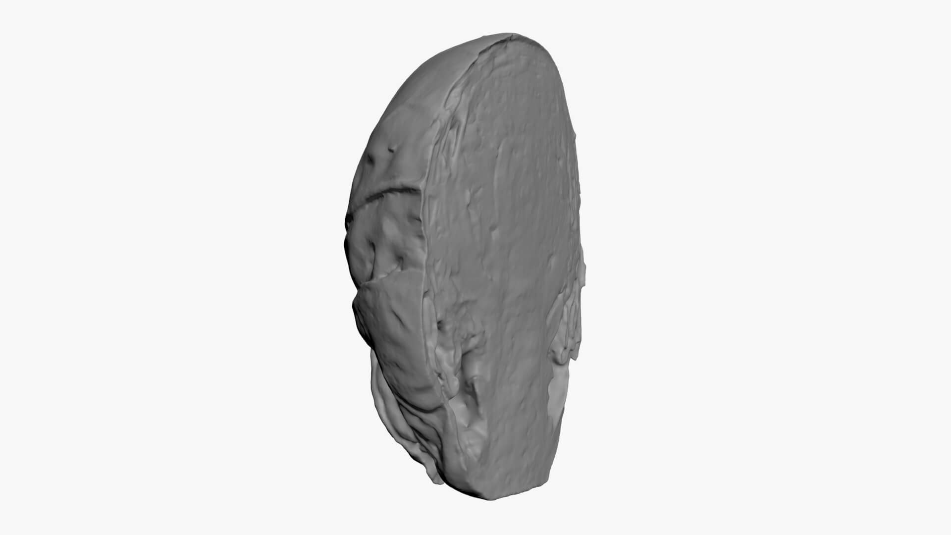 Brussels Sprout Half 01 - For 3D Print 3D Model