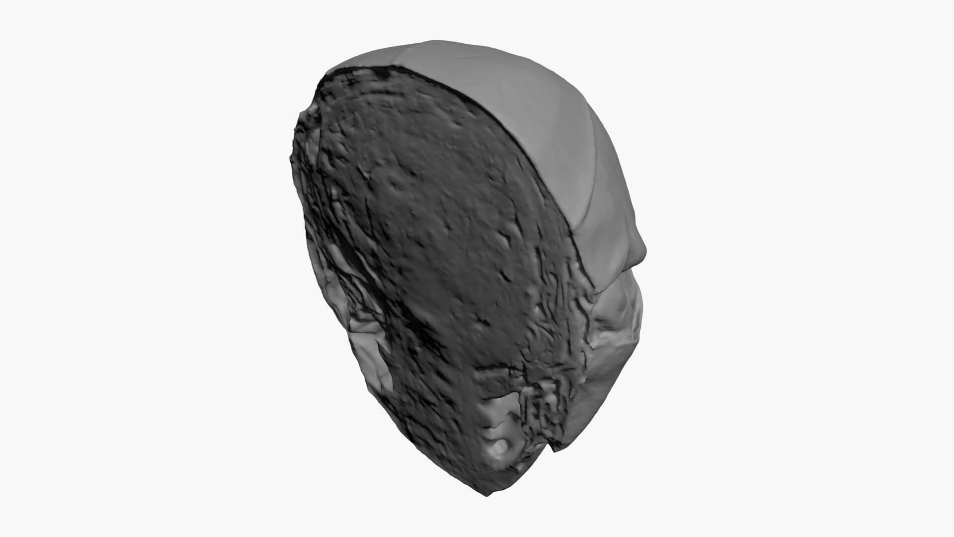 Brussels Sprout Half 01 - For 3D Print 3D Model