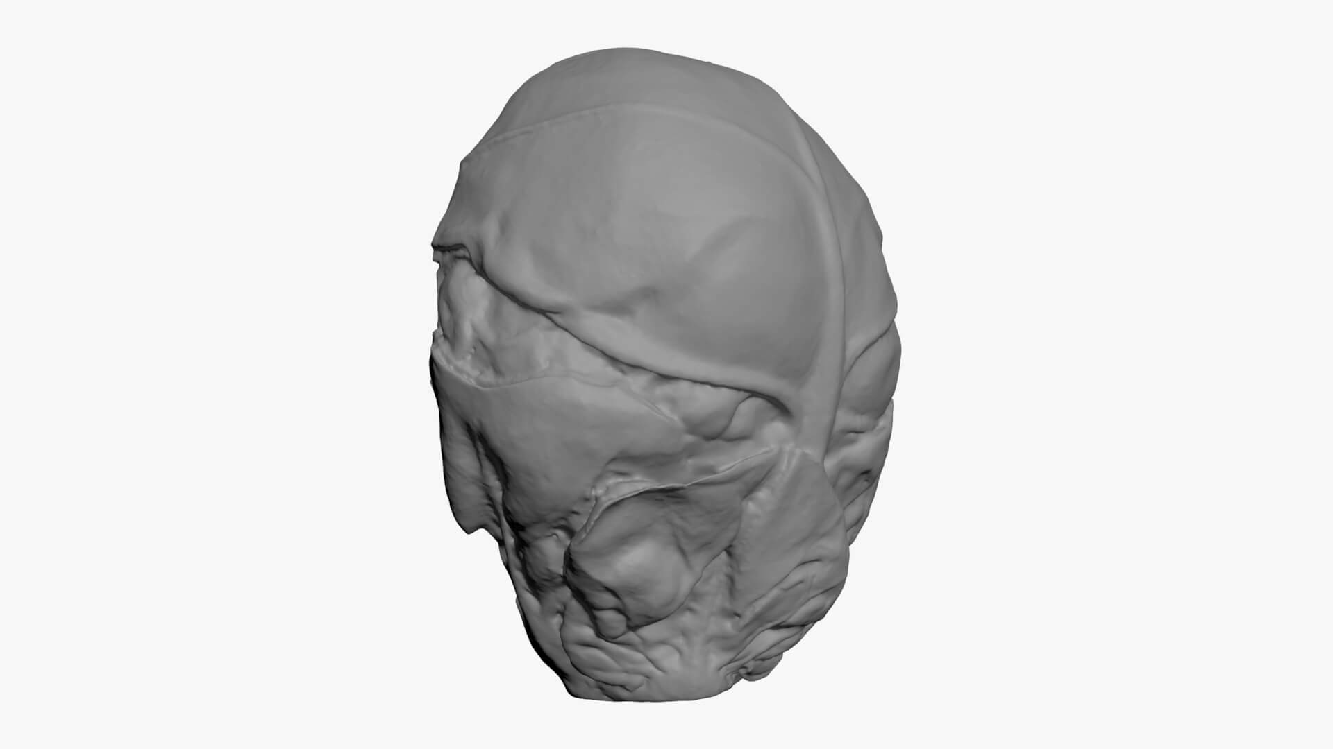 Brussels Sprout Half 01 - For 3D Print 3D Model