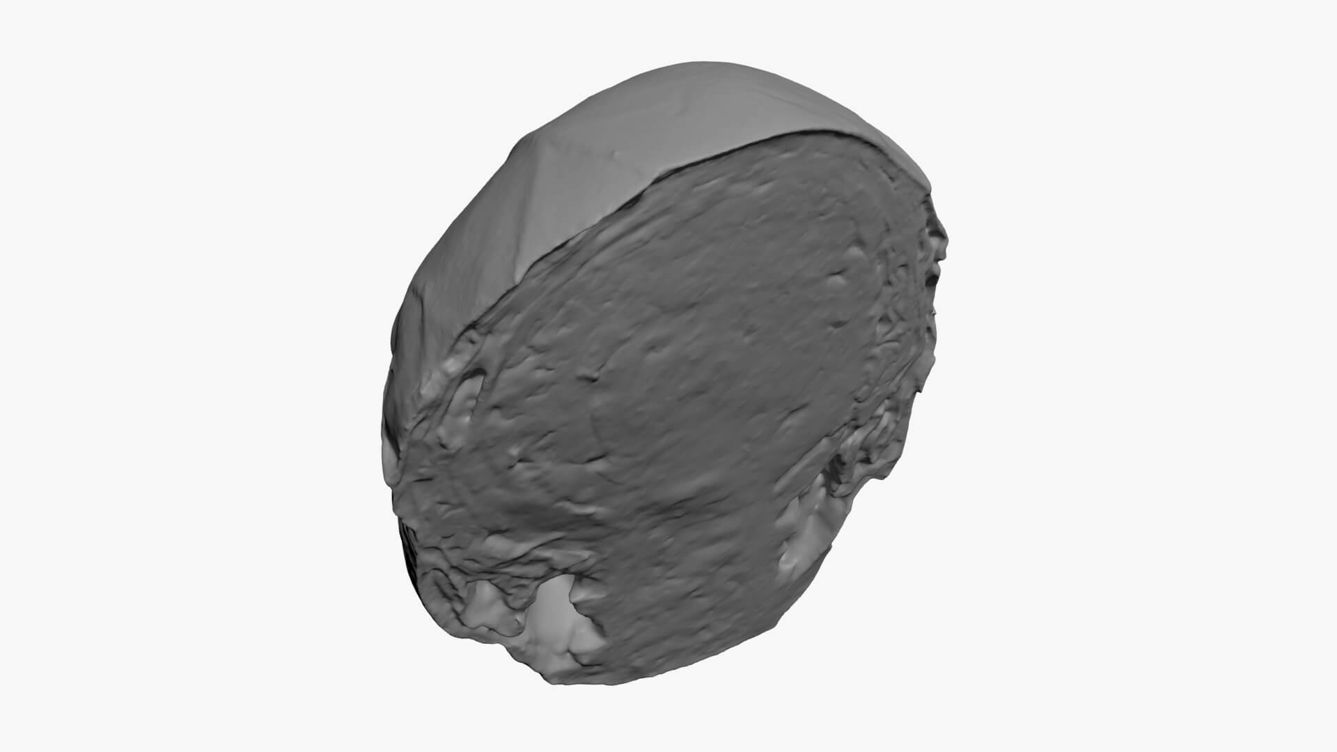 Brussels Sprout Half 01 - For 3D Print 3D Model