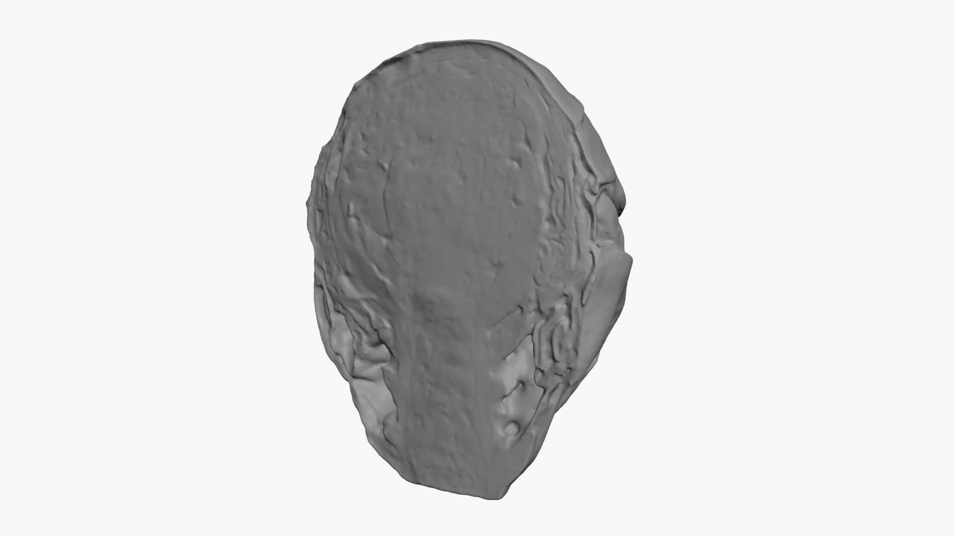 Brussels Sprout Half 01 - For 3D Print 3D Model