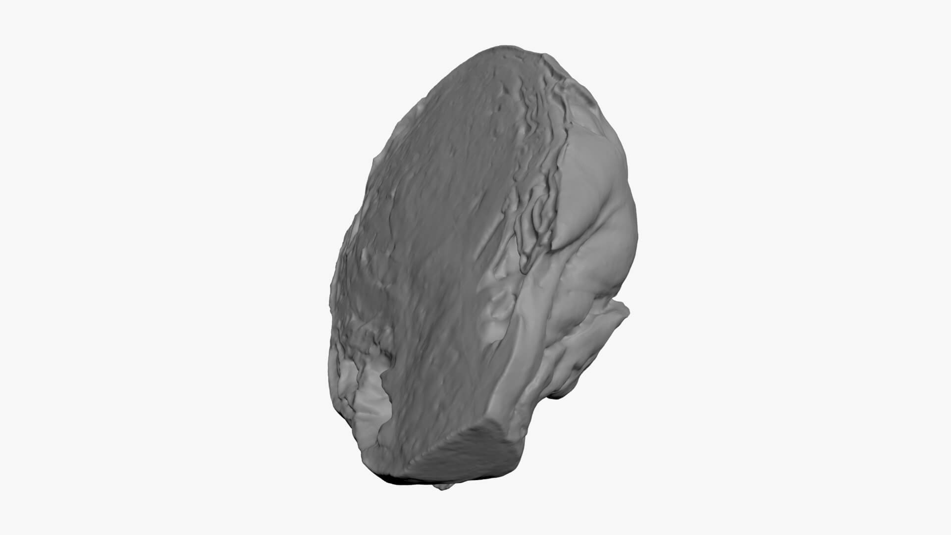 Brussels Sprout Half 01 - For 3D Print 3D Model