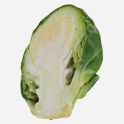 Brussels Sprout Half 01