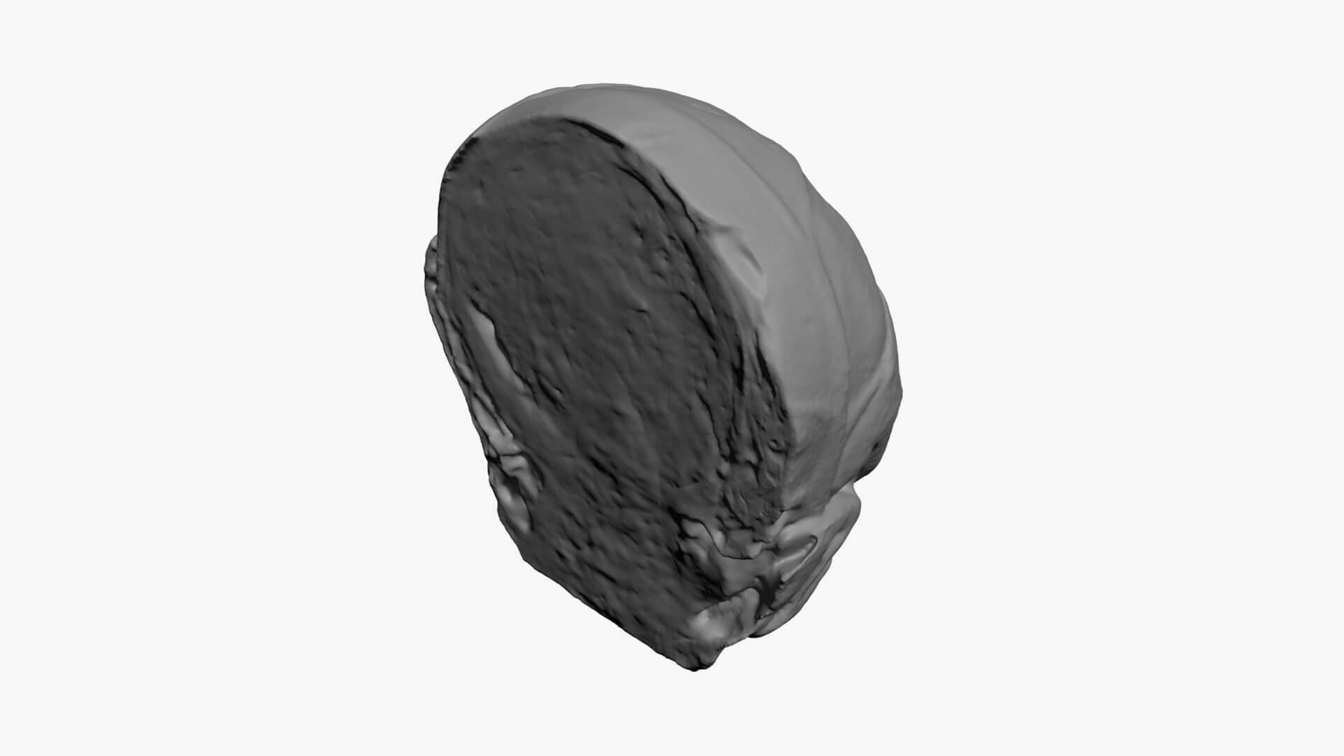 Brussels Sprout Half 02 - For 3D Print 3D Model