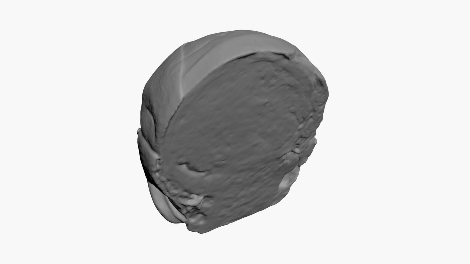 Brussels Sprout Half 02 - For 3D Print 3D Model