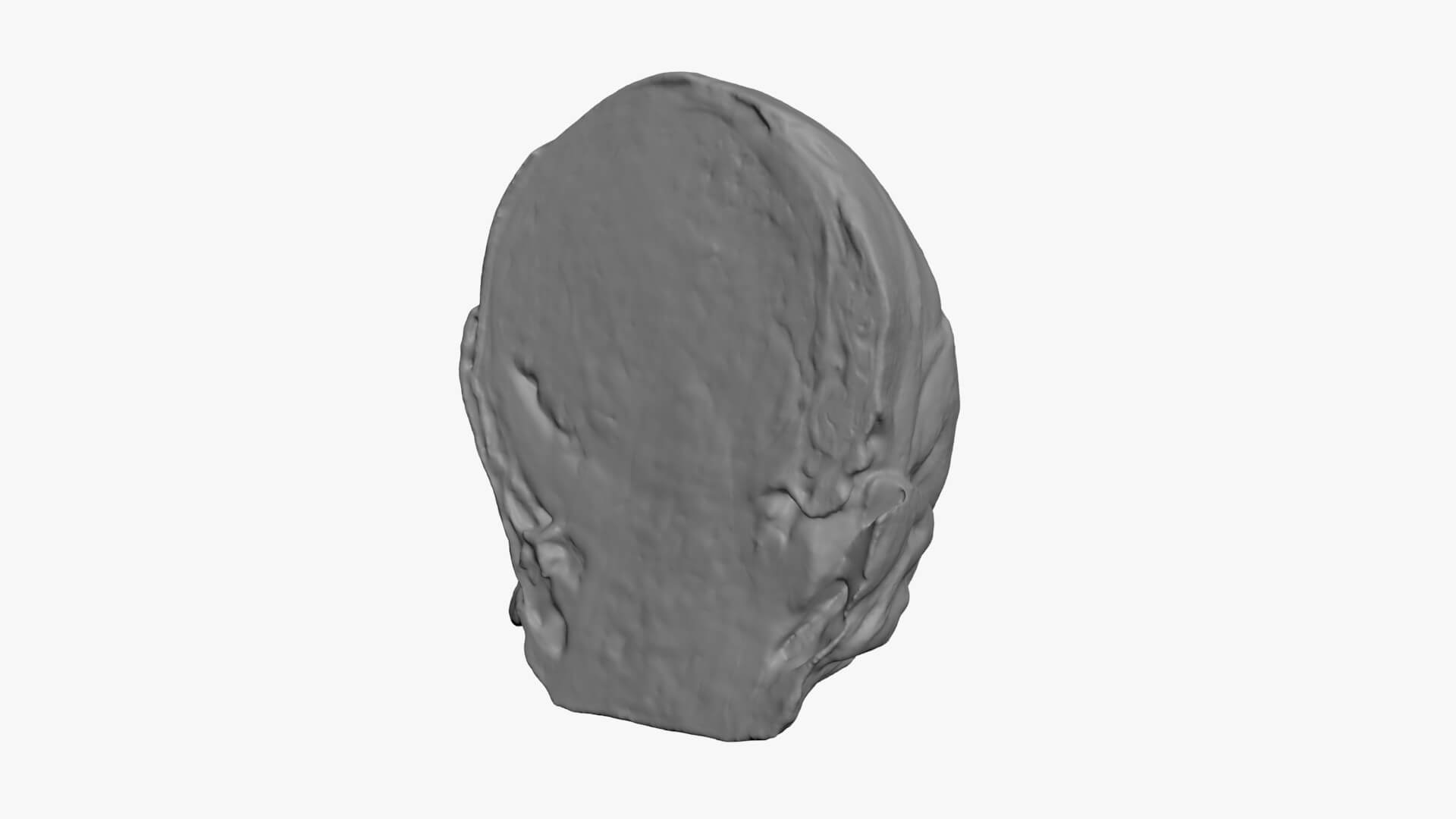Brussels Sprout Half 02 - For 3D Print 3D Model