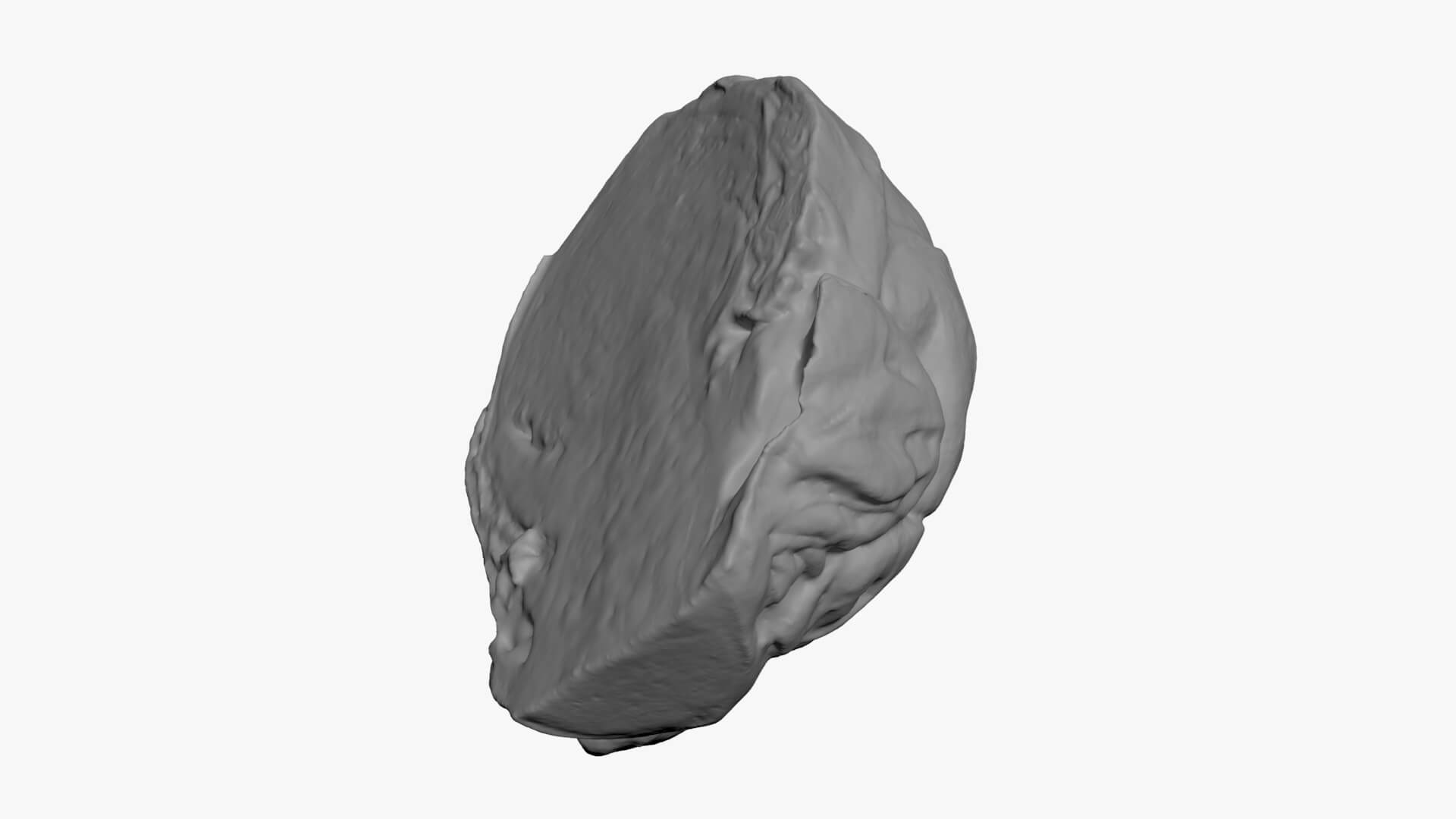 Brussels Sprout Half 02 - For 3D Print 3D Model