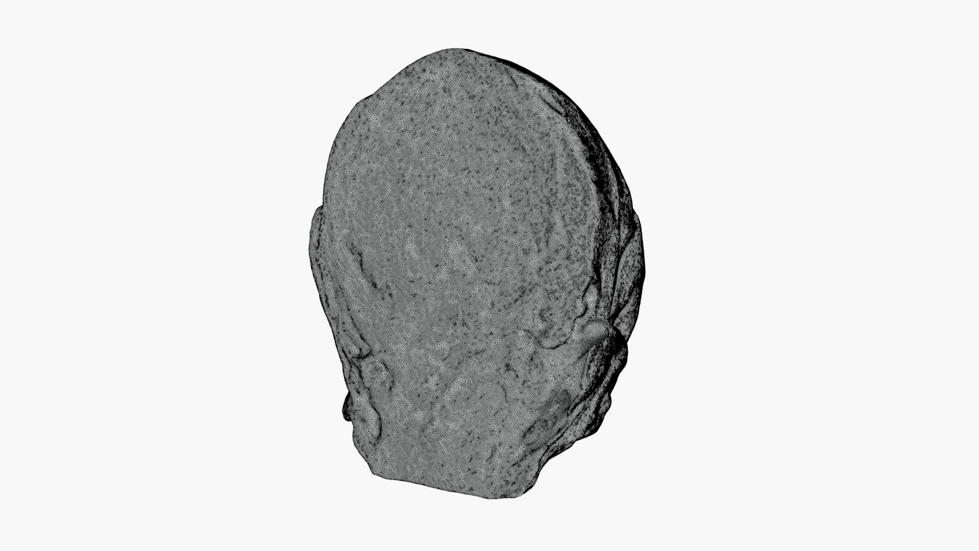 Brussels Sprout Half 02 - For 3D Print 3D Model