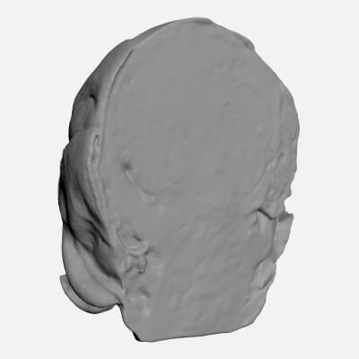 Brussels Sprout Half 02 - For 3D Print