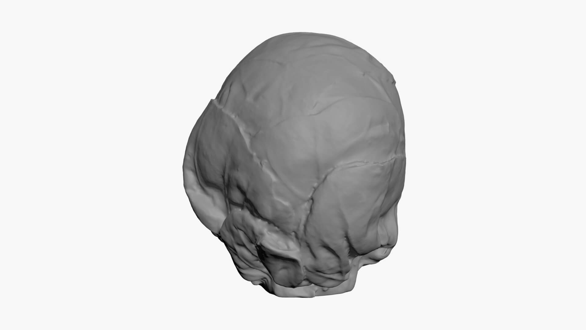 Brussels Sprout 02 - For 3D Print 3D Model