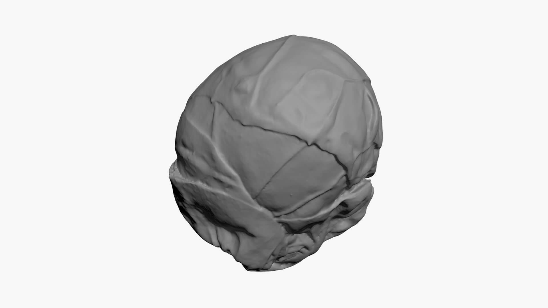 Brussels Sprout 02 - For 3D Print 3D Model