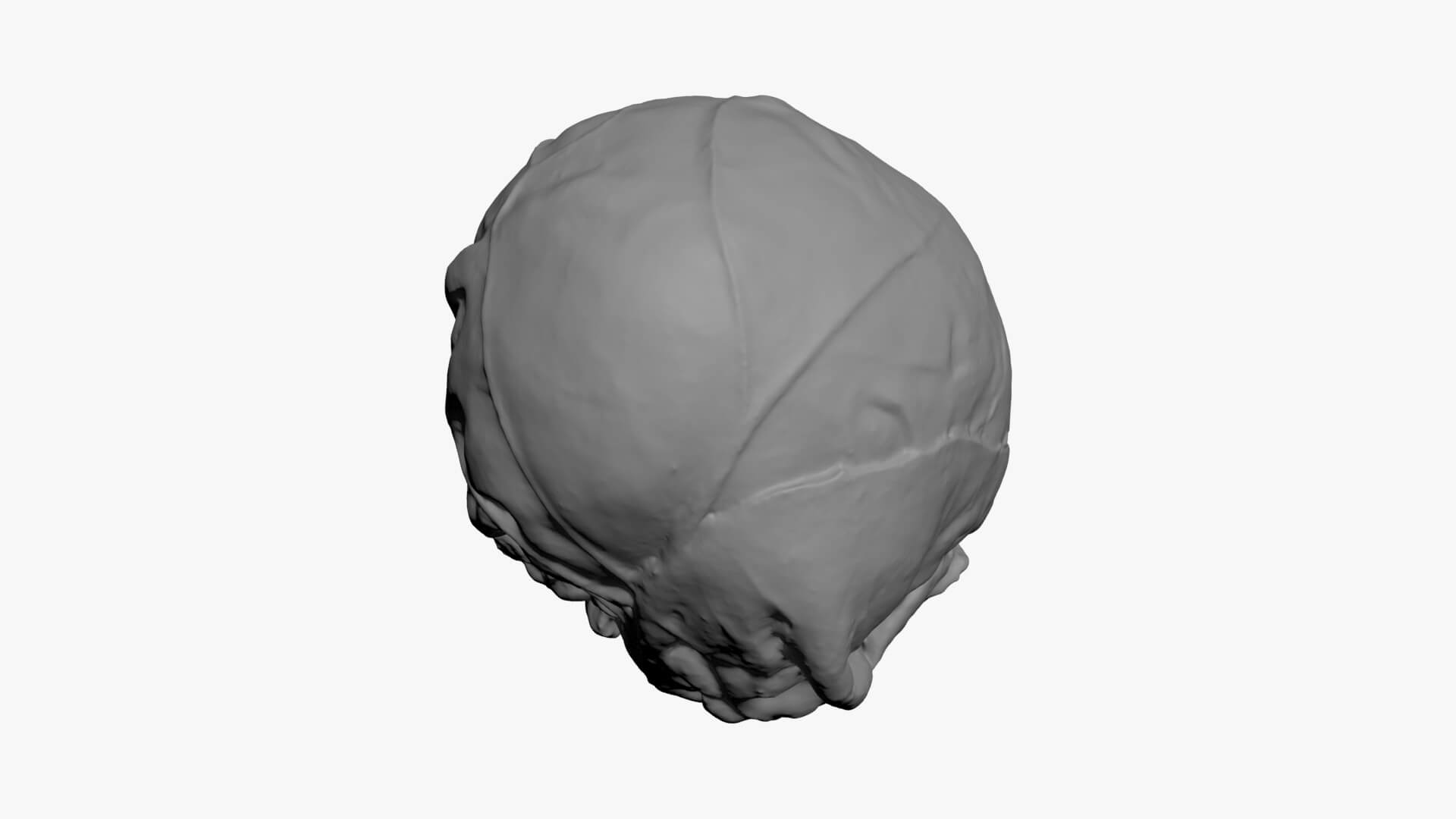 Brussels Sprout 02 - For 3D Print 3D Model