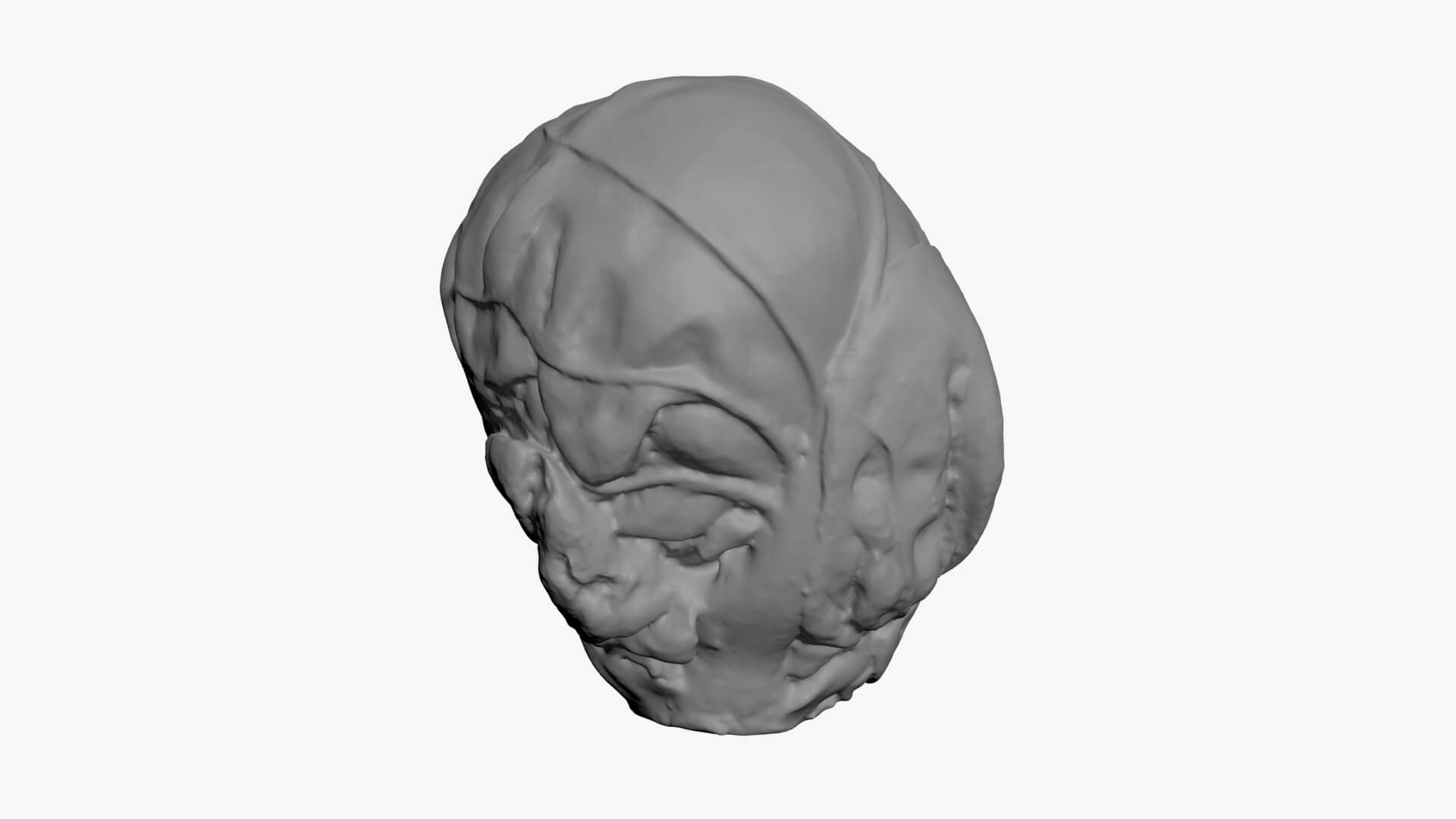 Brussels Sprout 02 - For 3D Print 3D Model