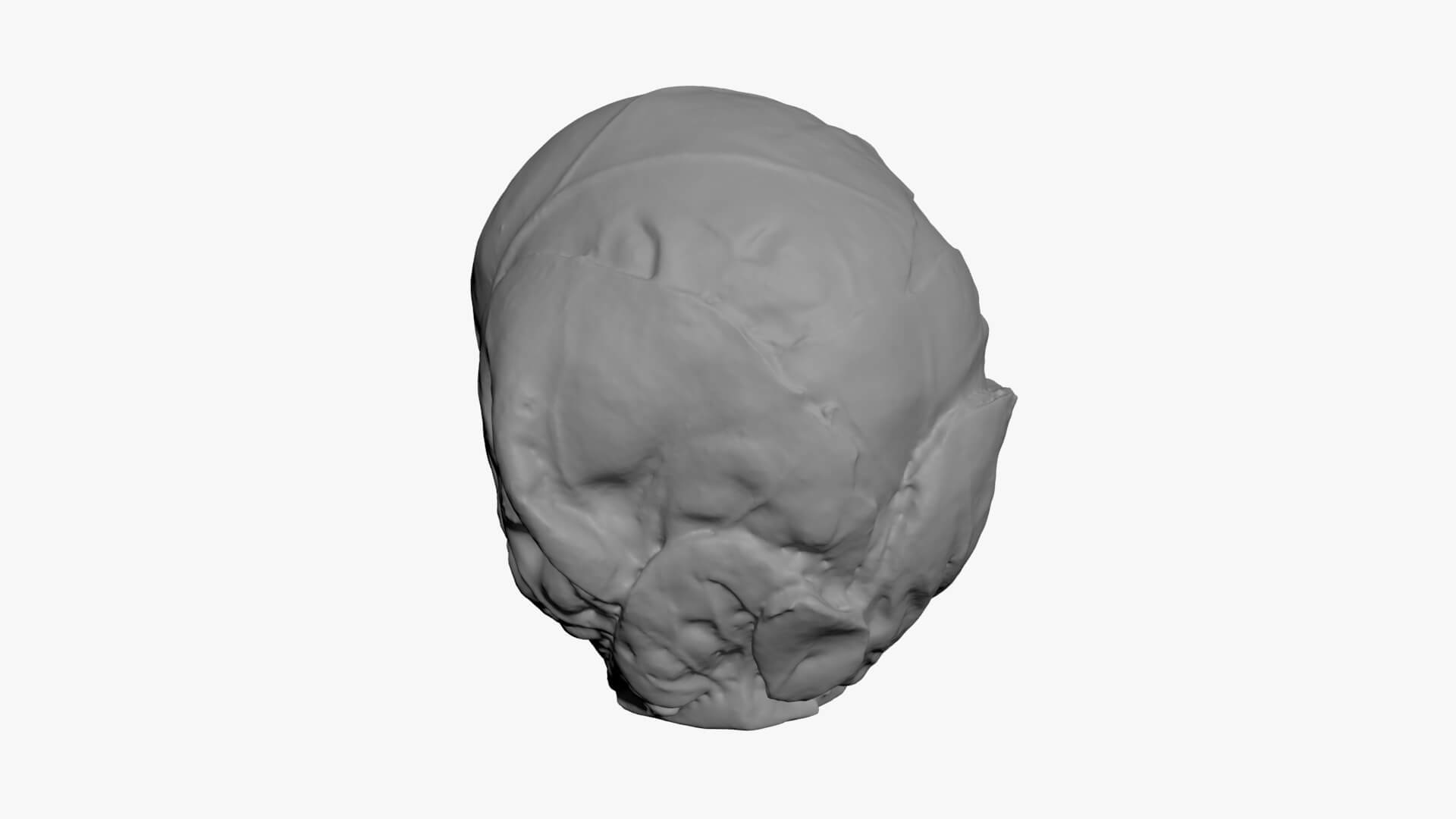 Brussels Sprout 02 - For 3D Print 3D Model