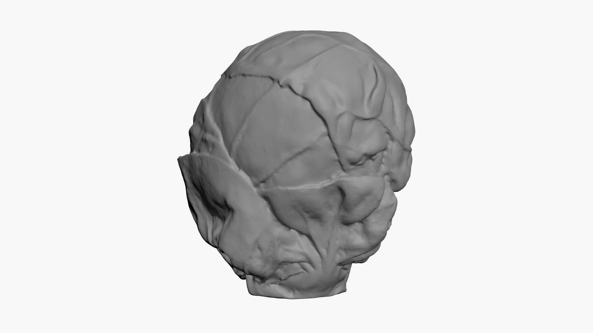 Brussels Sprout 02 - For 3D Print 3D Model