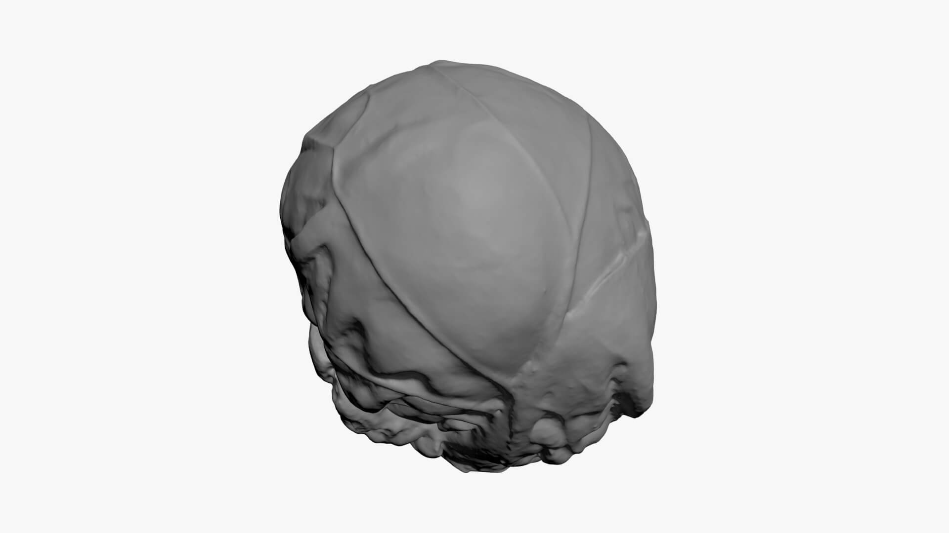 Brussels Sprout 02 - For 3D Print 3D Model