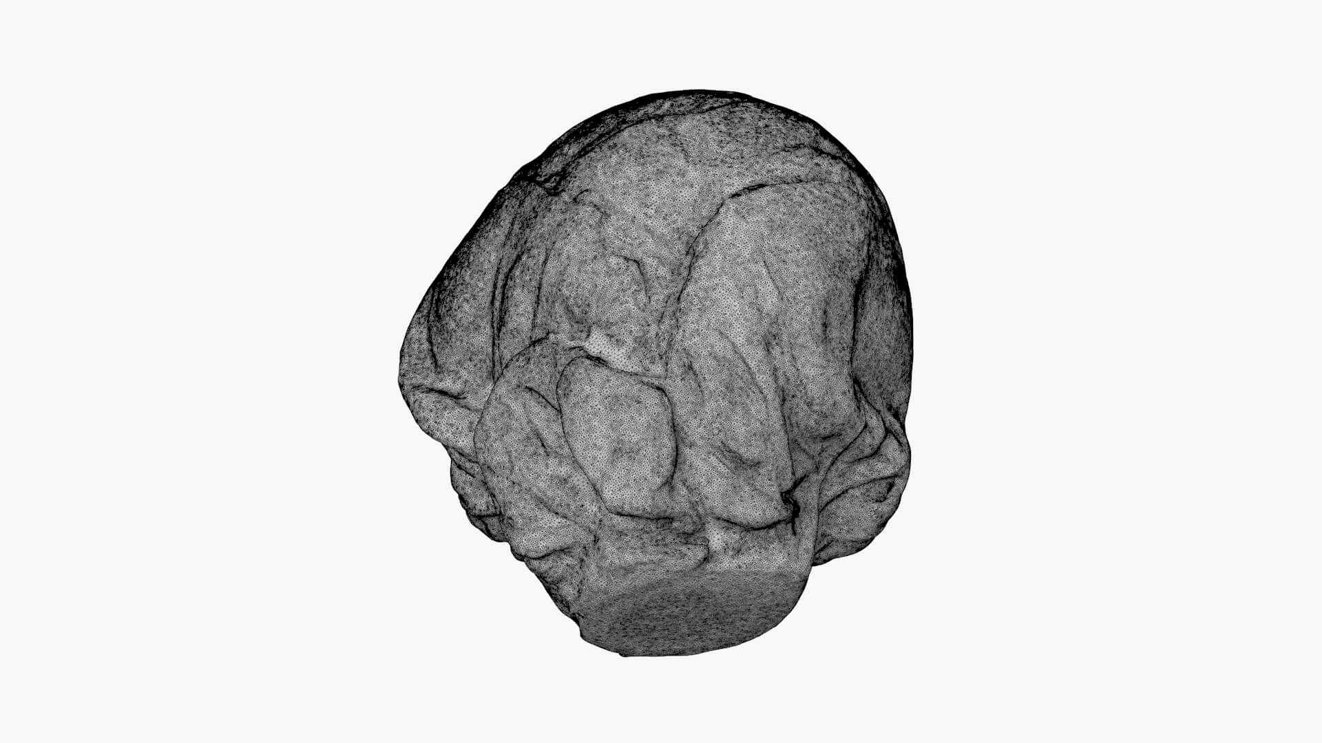 Brussels Sprout 02 - For 3D Print 3D Model