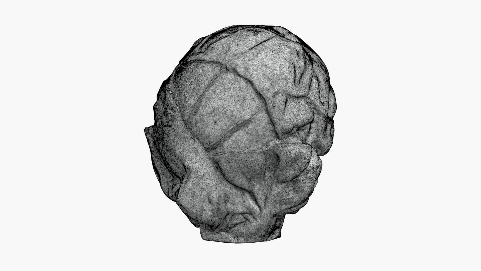 Brussels Sprout 02 - For 3D Print 3D Model