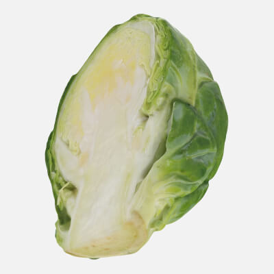 Brussels Sprout Half 02