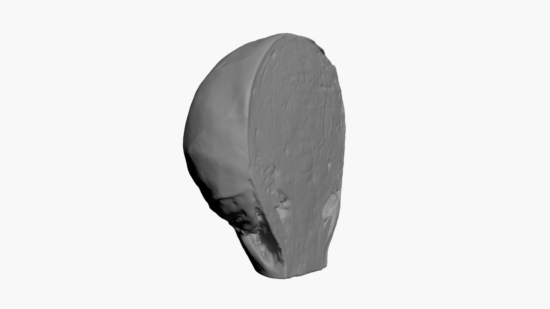 Brussels Sprout Half 03 - For 3D Print 3D Model