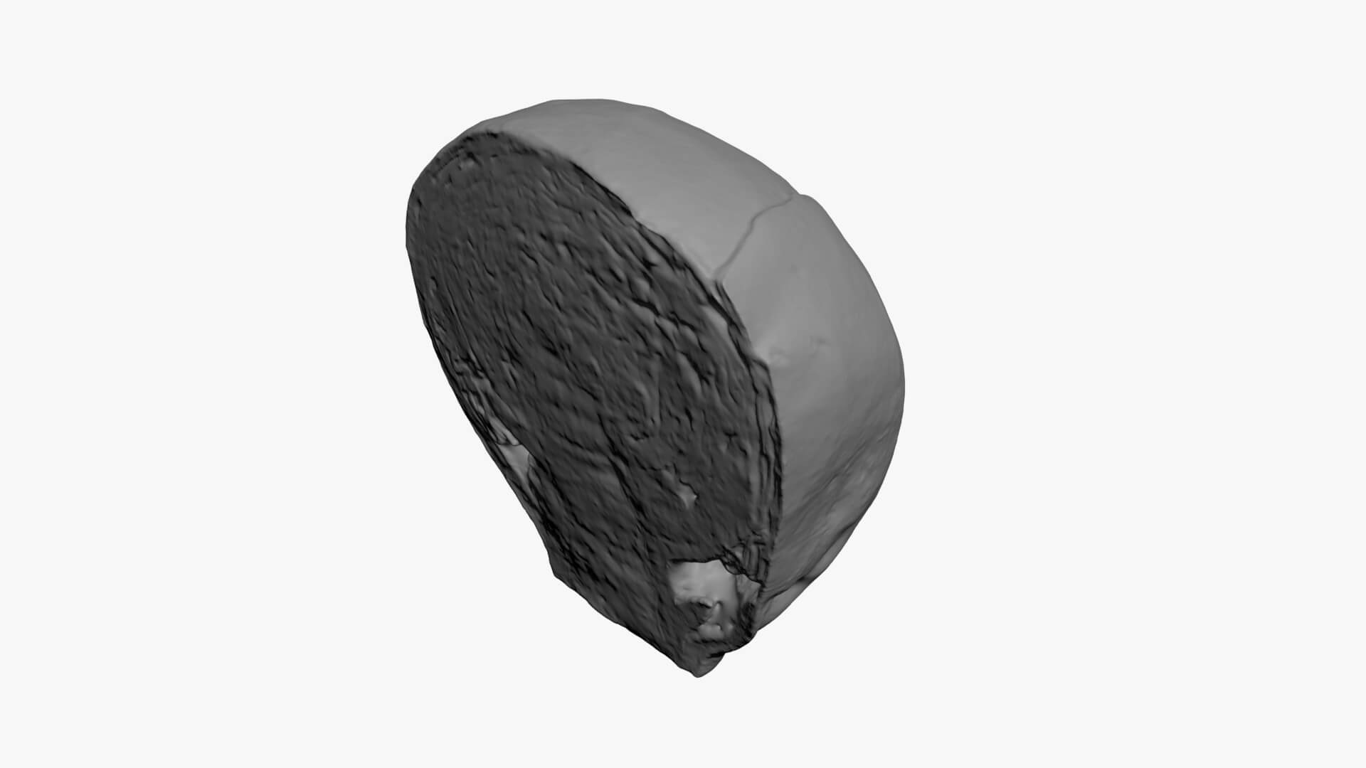 Brussels Sprout Half 03 - For 3D Print 3D Model