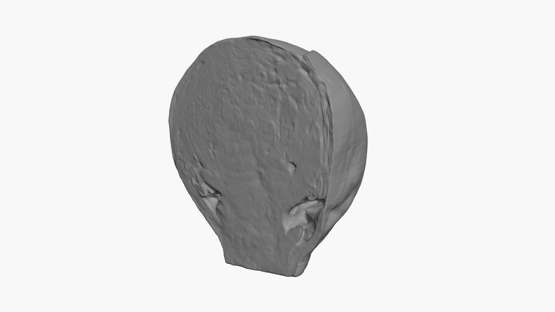 Brussels Sprout Half 03 - For 3D Print 3D Model