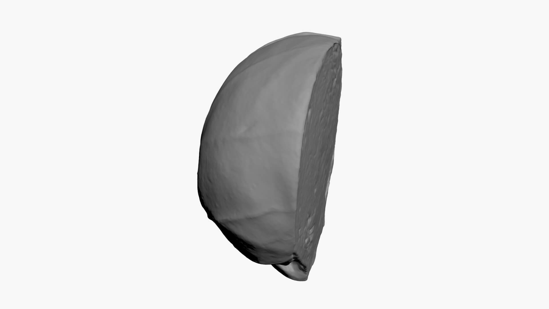 Brussels Sprout Half 03 - For 3D Print 3D Model