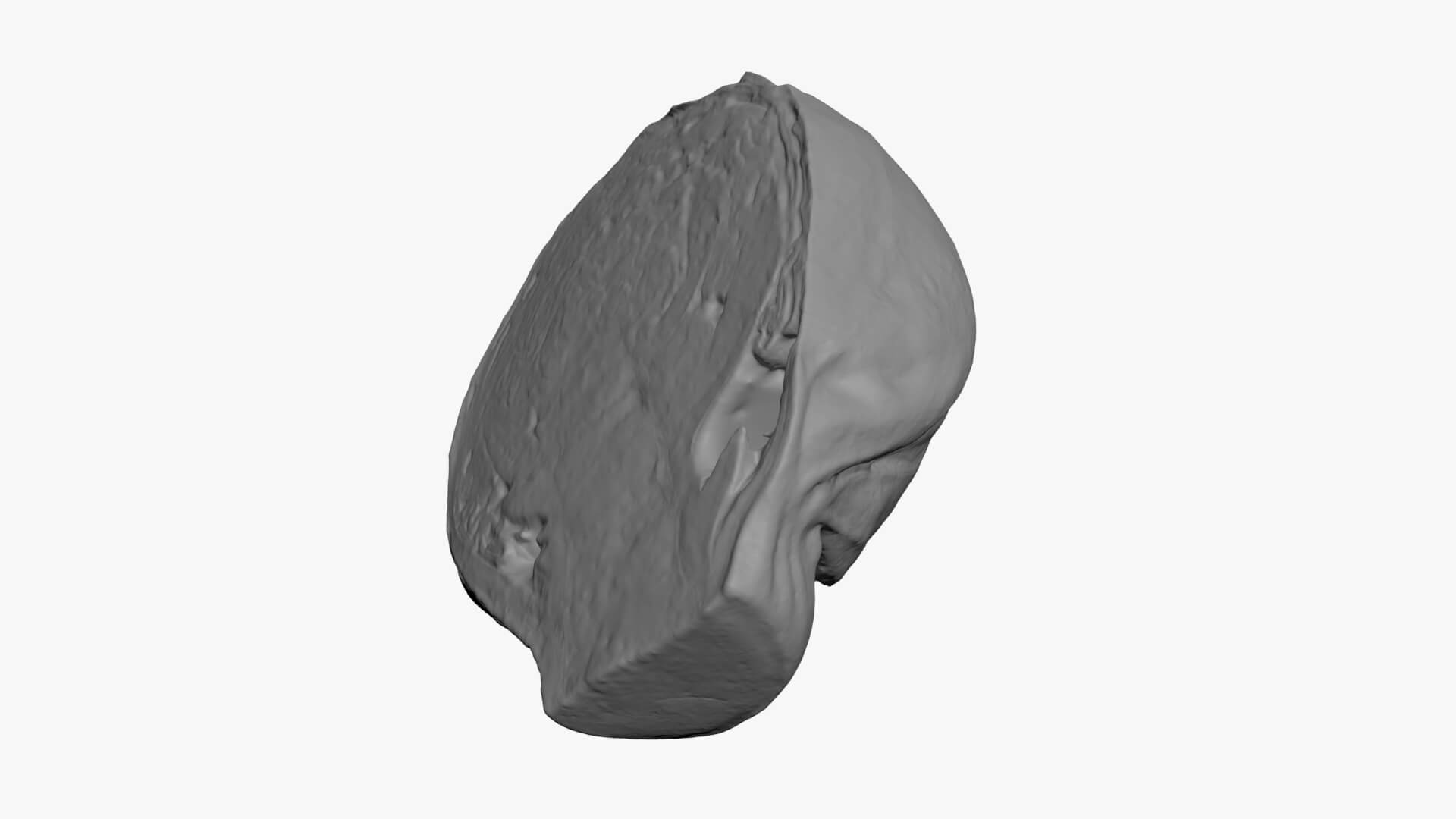 Brussels Sprout Half 03 - For 3D Print 3D Model