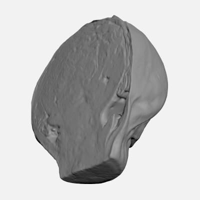 Brussels Sprout Half 03 - For 3D Print
