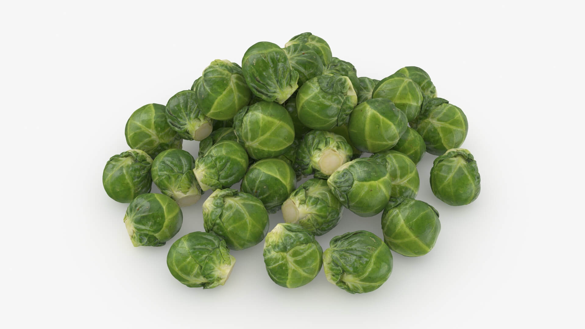 Brussels Sprouts 3D Model