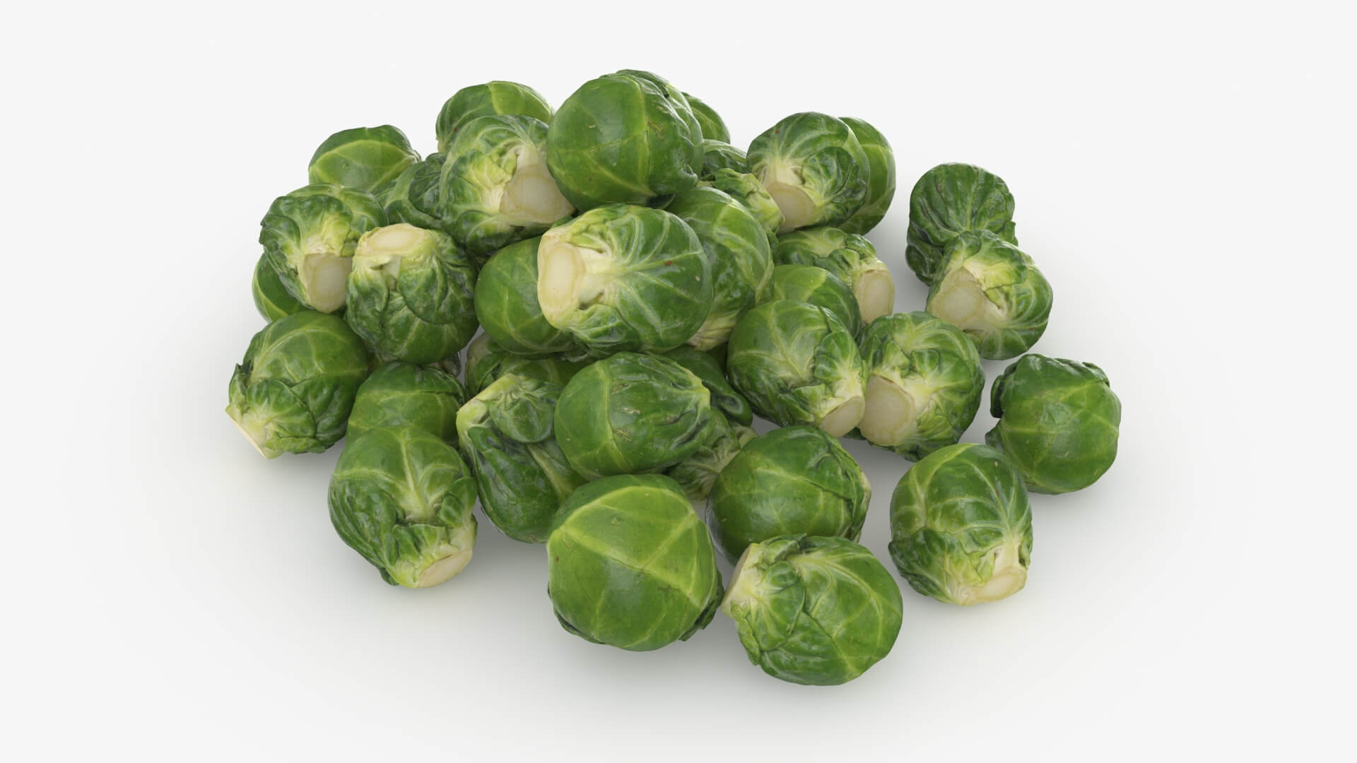 Brussels Sprouts 3D Model
