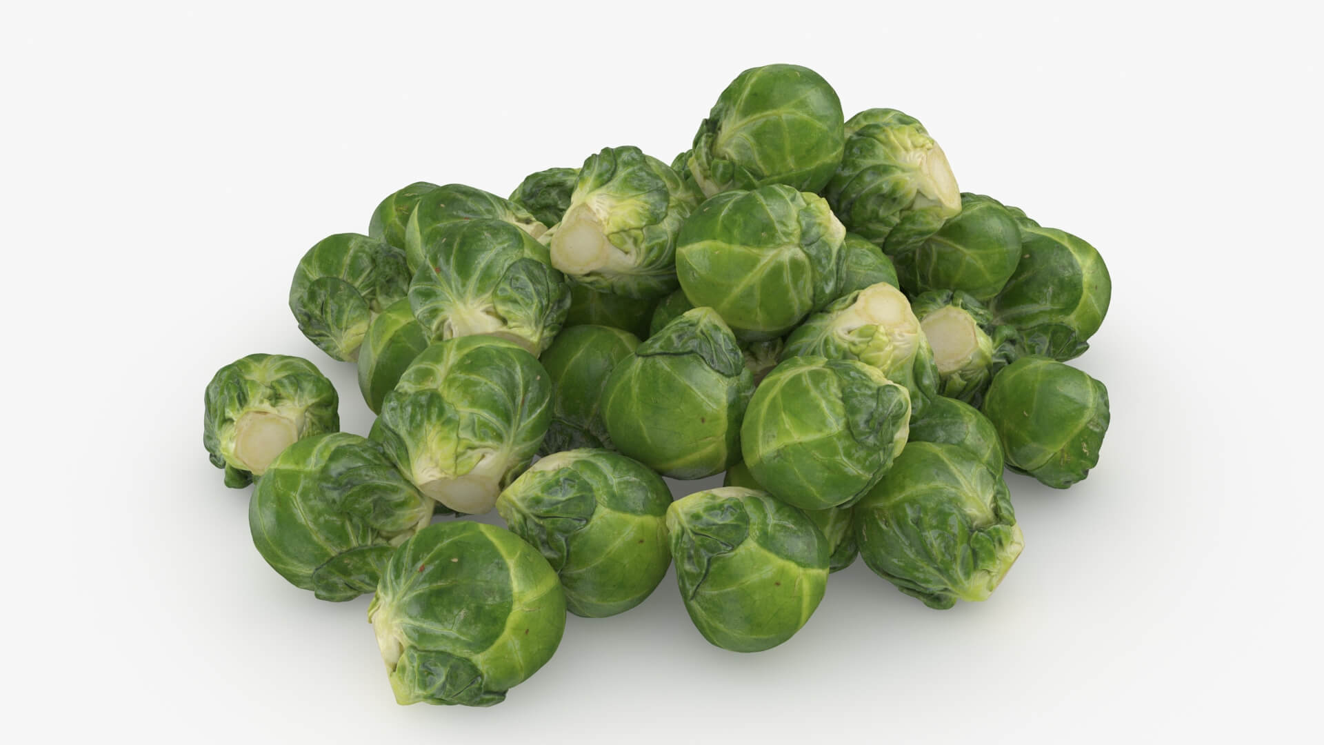 Brussels Sprouts 3D Model