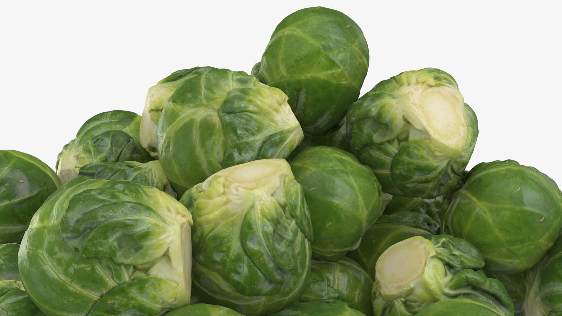 Brussels Sprouts 3D Model