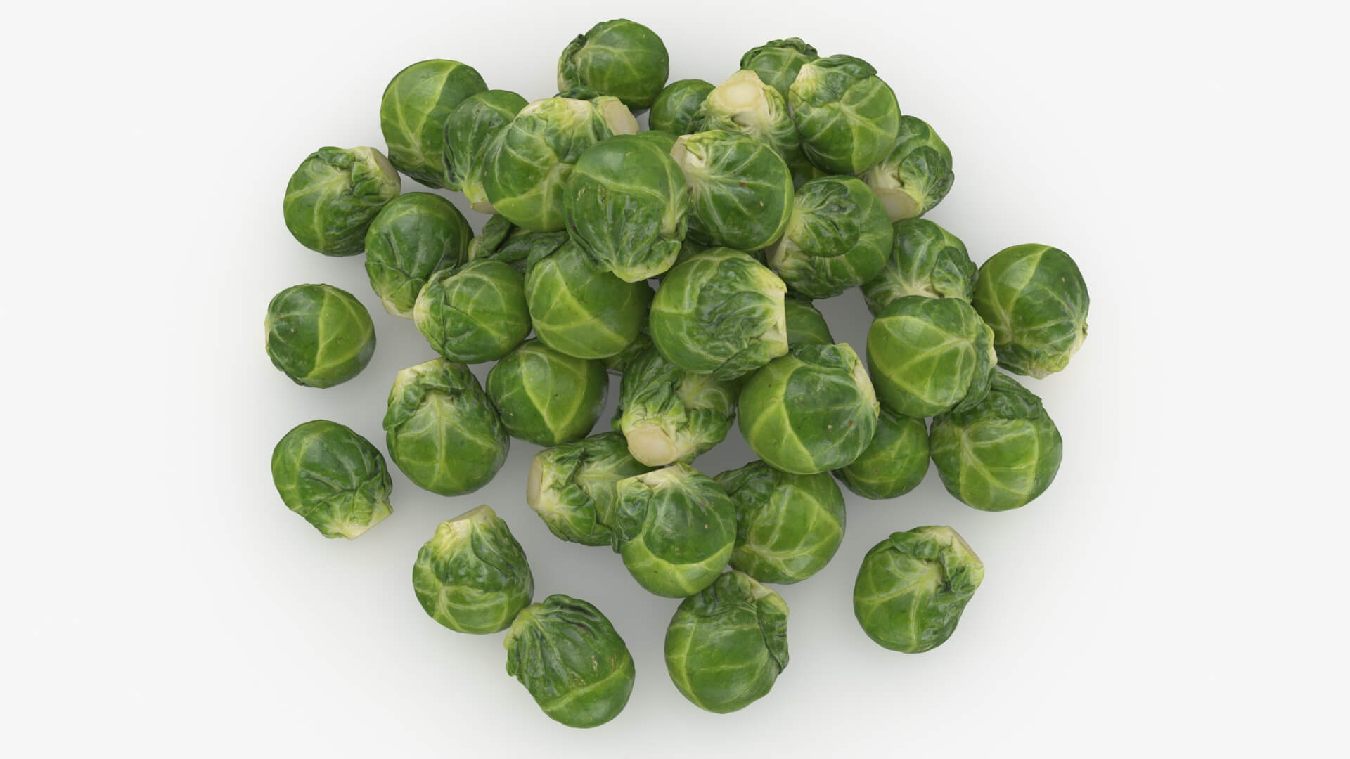 Brussels Sprouts 3D Model