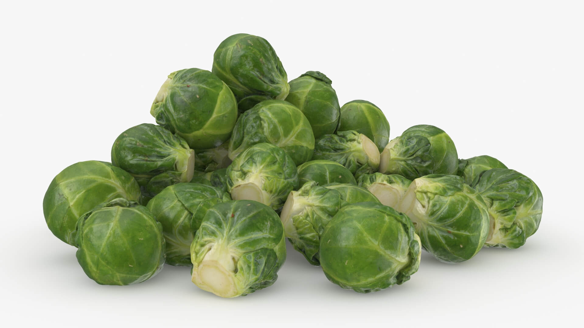 Brussels Sprouts 3D Model