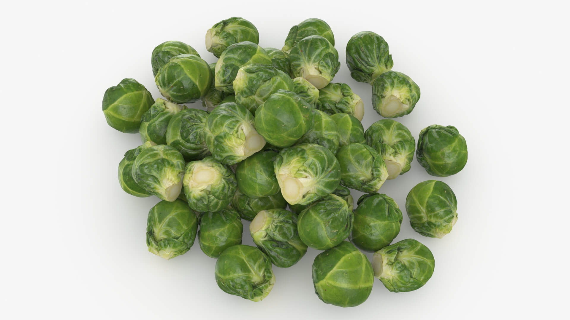 Brussels Sprouts 3D Model