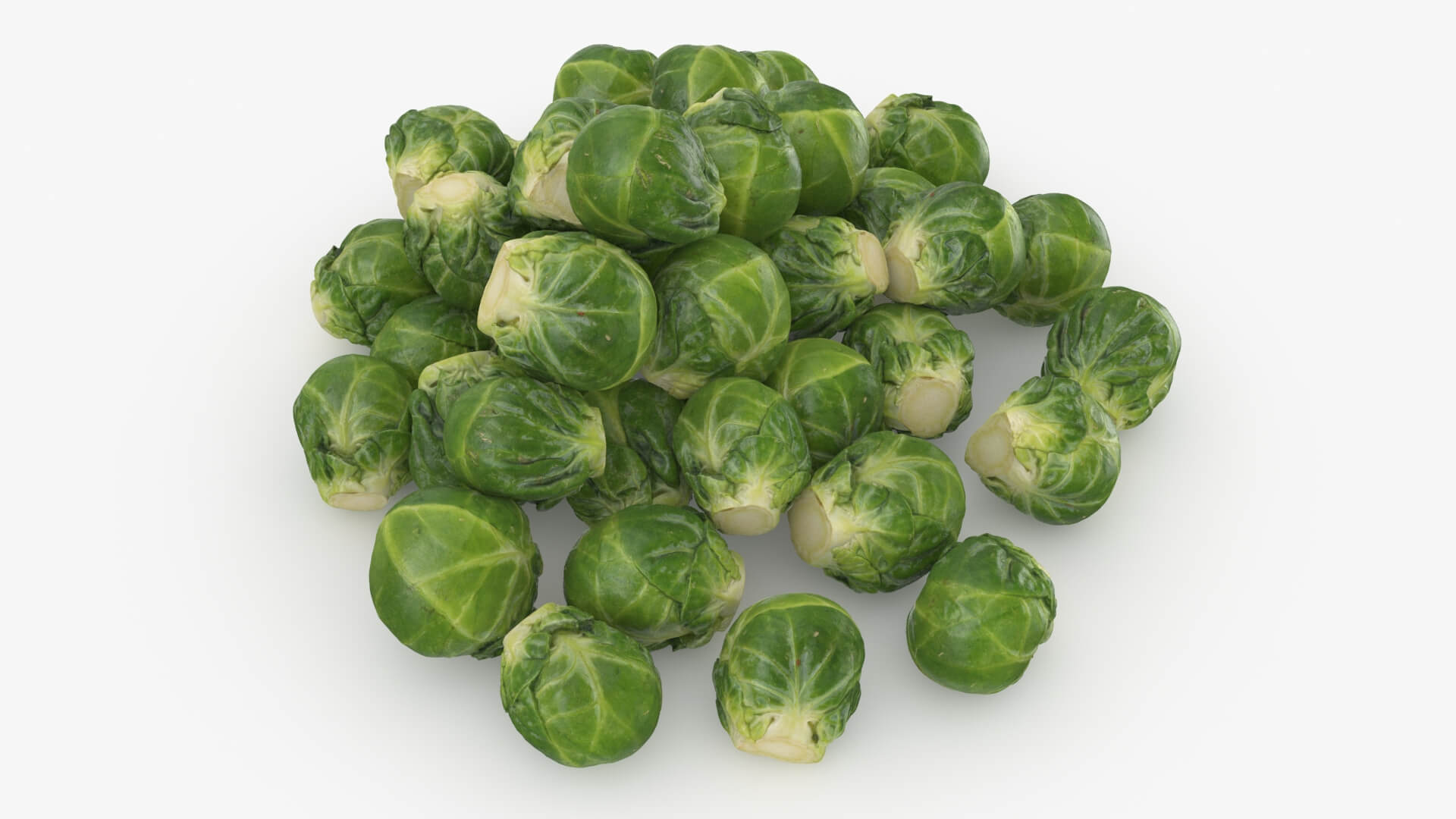 Brussels Sprouts 3D Model